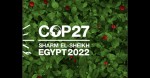 Η Vodafone υποστηρίζει ως Κύριος Συνεργάτης το Συνέδριο COP27 του ΟΗΕ για την κλιματική αλλαγή.